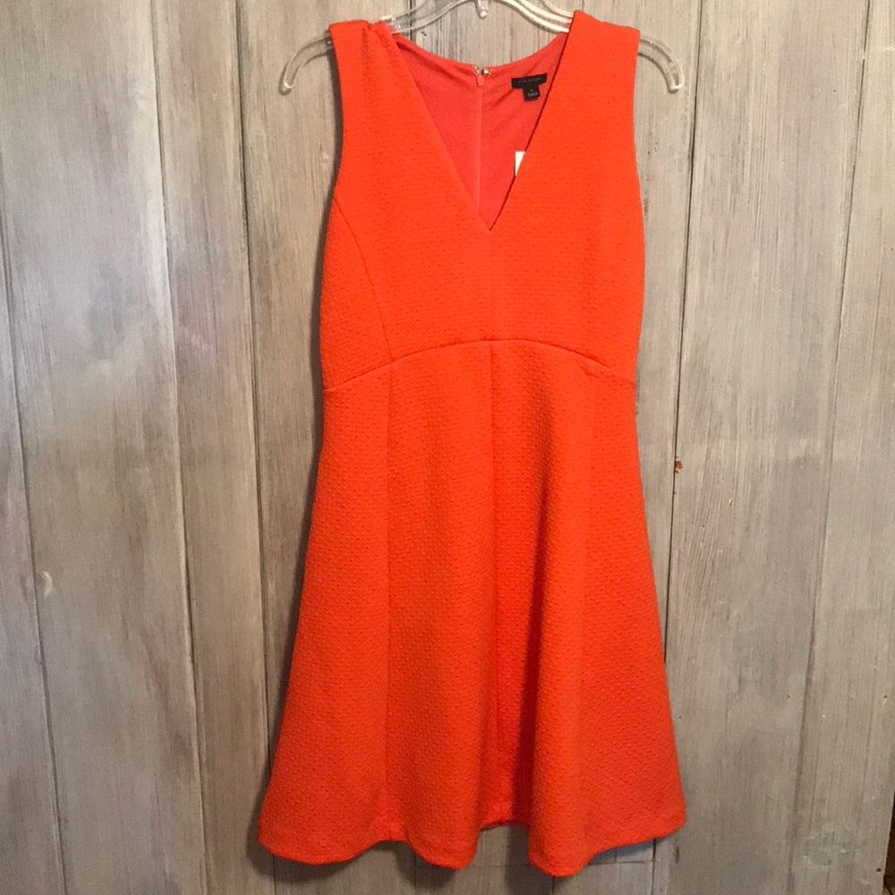 Ann Taylor Dress